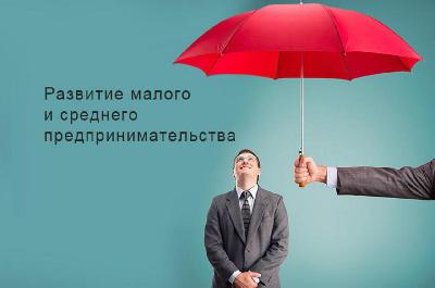 В Ставрополе есть механизмы поддержки для любого бизнеса