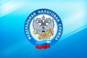 Налоговая служба рекомендует скачивать бланки документов с официального сайта ФНС России