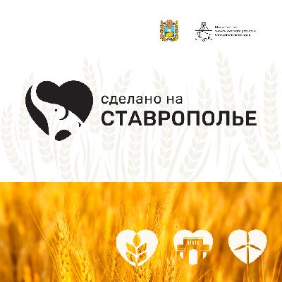 Сообщаем Вам о Единой платформы «Сделано на Ставрополье» Сообщаем Вам о Единой платформы «Сделано на Ставрополье»
